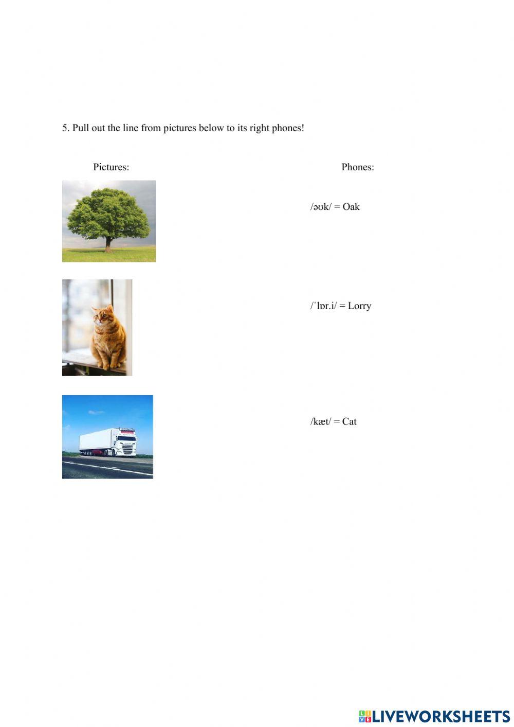 Linguistics Practice of Phonology