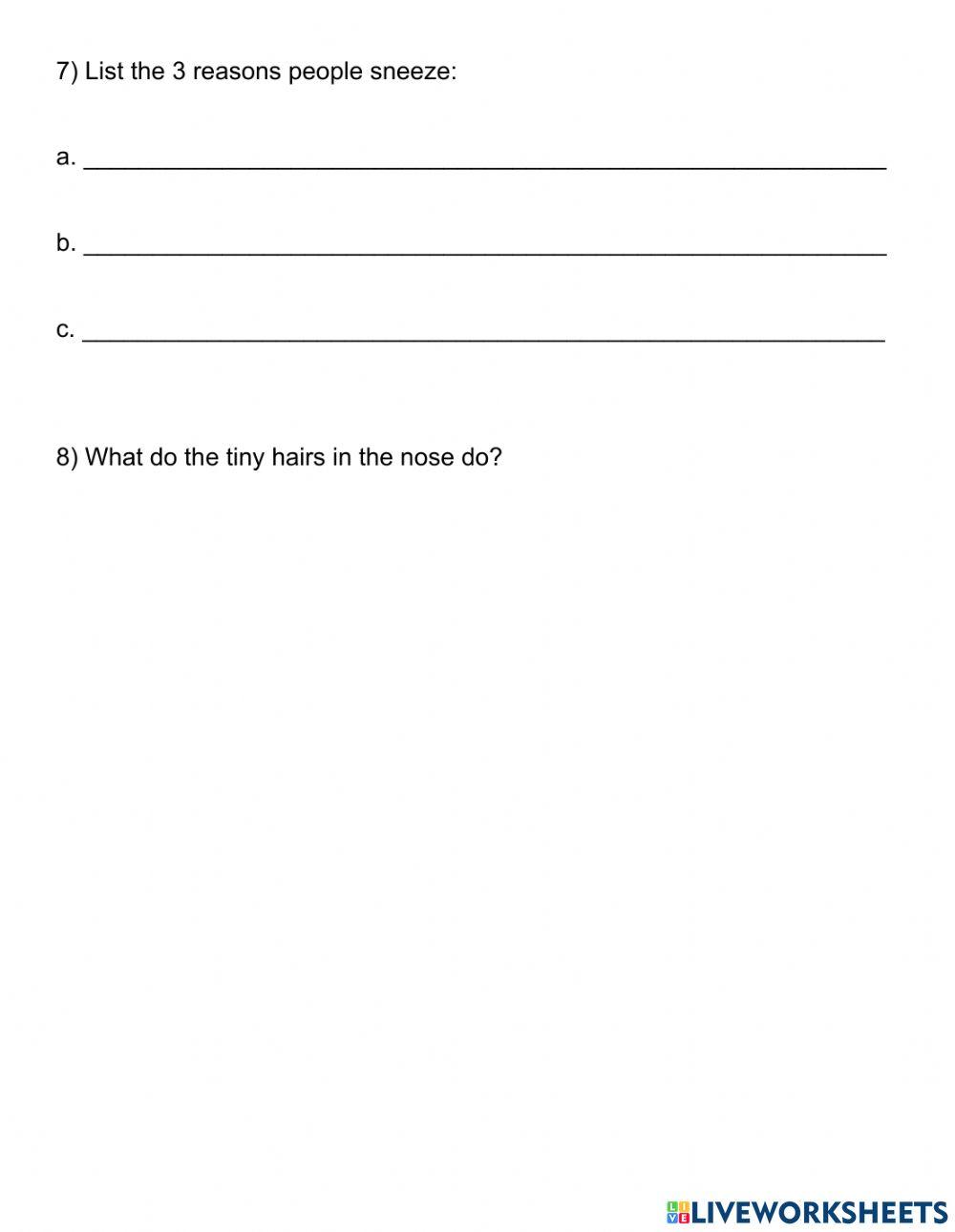 Y4 English Term 2 Week 1 Lesson 3-4