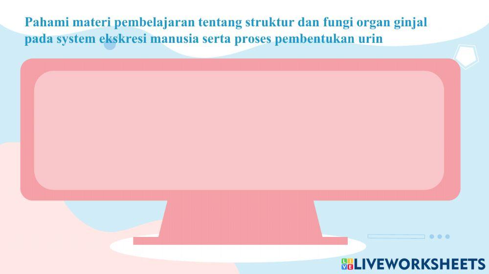 Sistem ekskresi ginjal