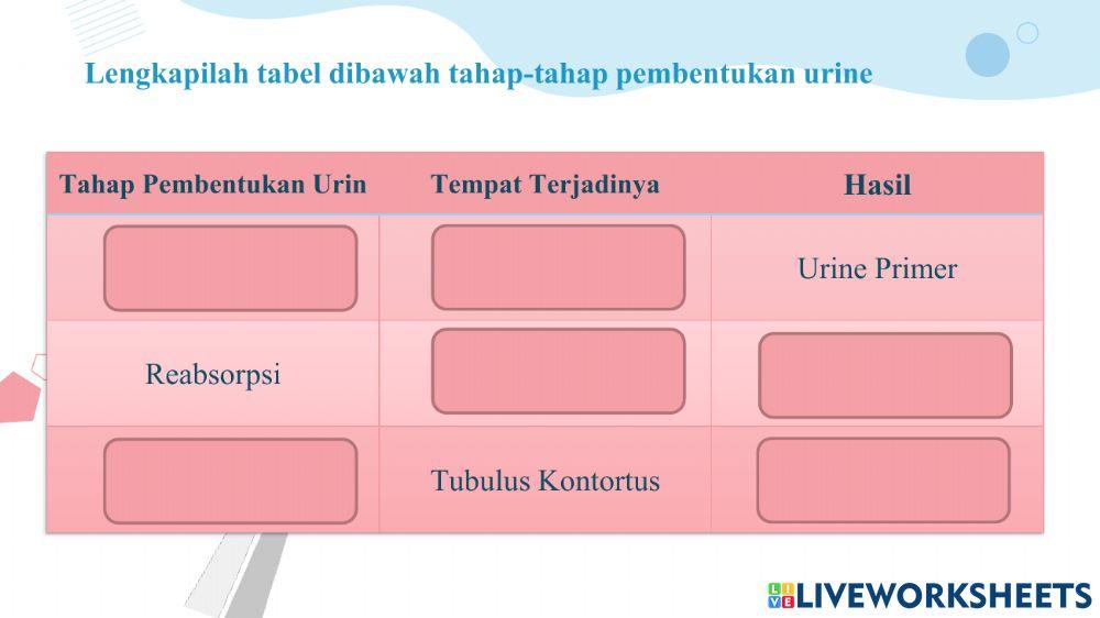 Sistem ekskresi ginjal