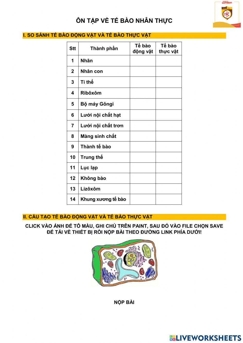 Ôn tập tb nhân thực