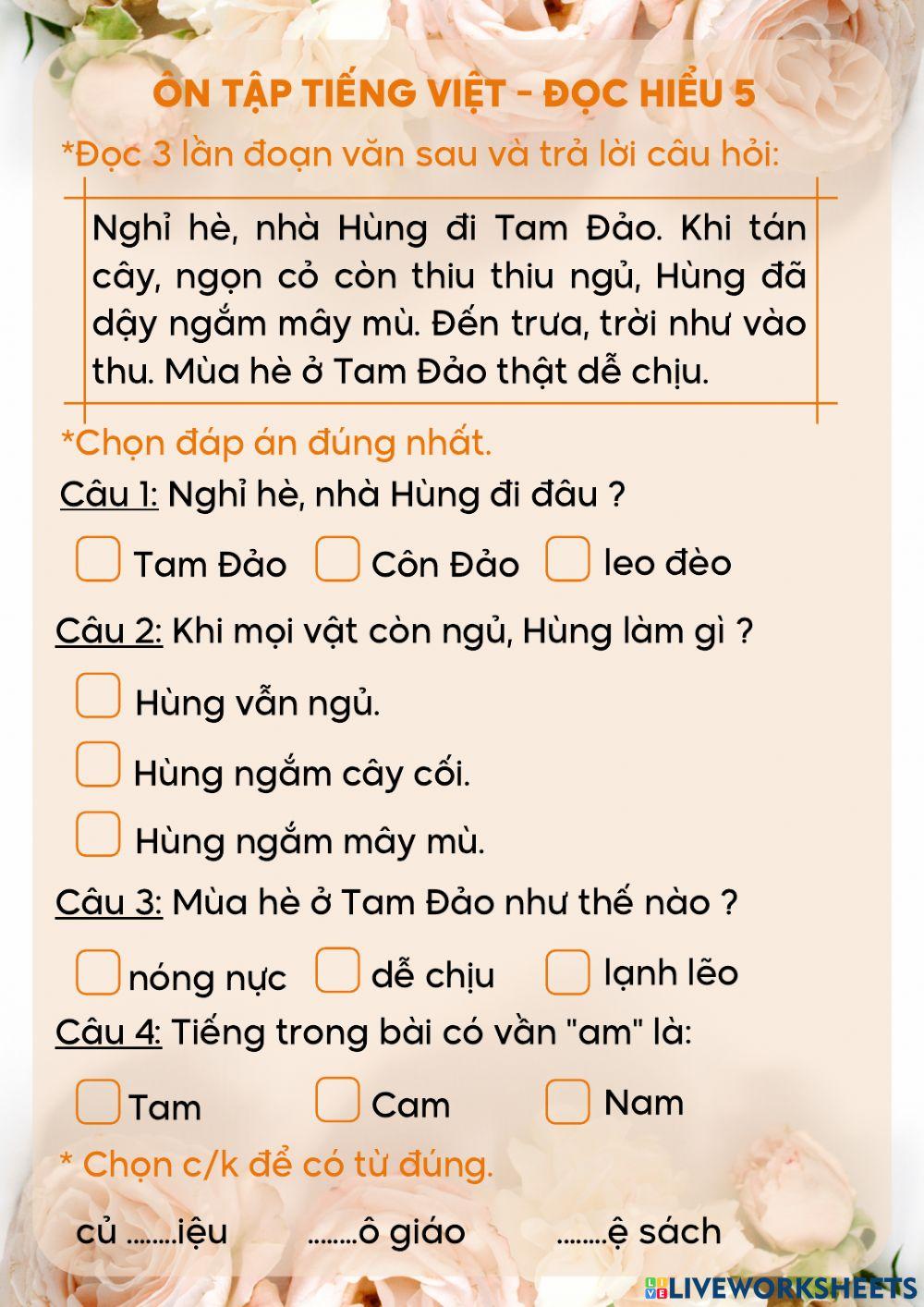 Đọc hiểu 5