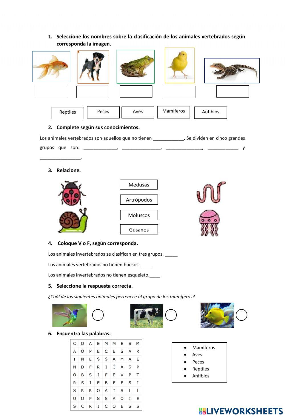 Animales vertebrados e invertebrados