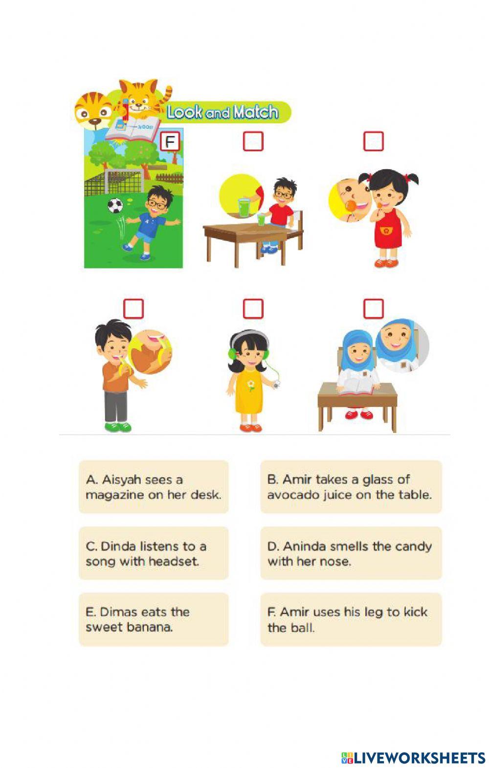 We see with our eyes