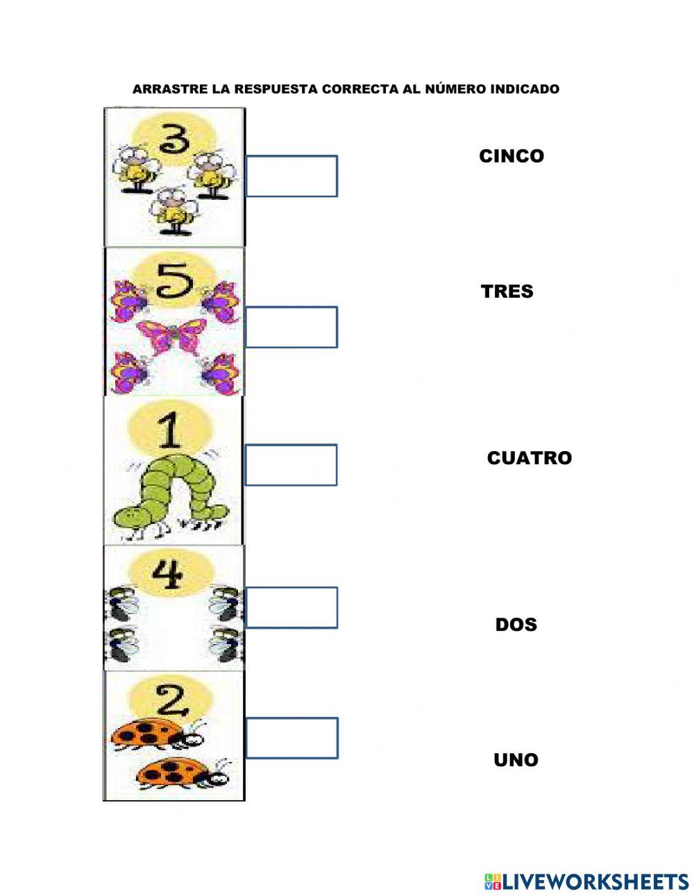 Arrastre la respuesta