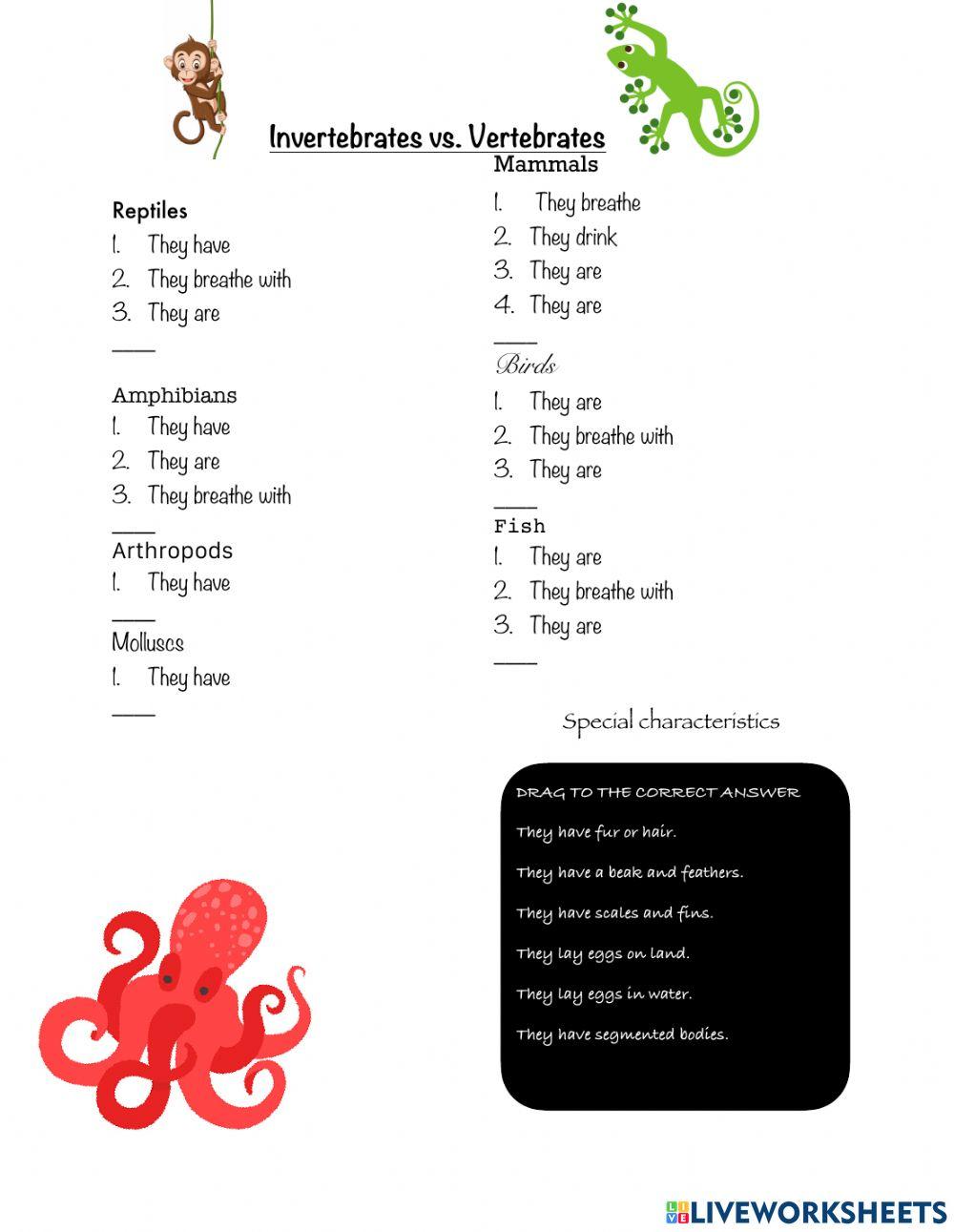 Animals: vertebrate and invertebrate