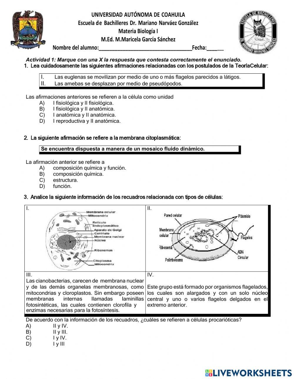 La celula y sus organelos