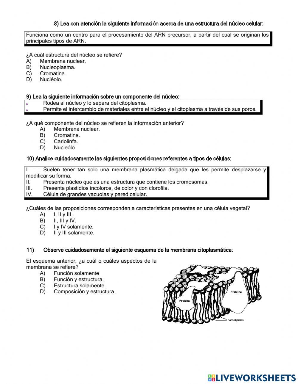 La celula y sus organelos