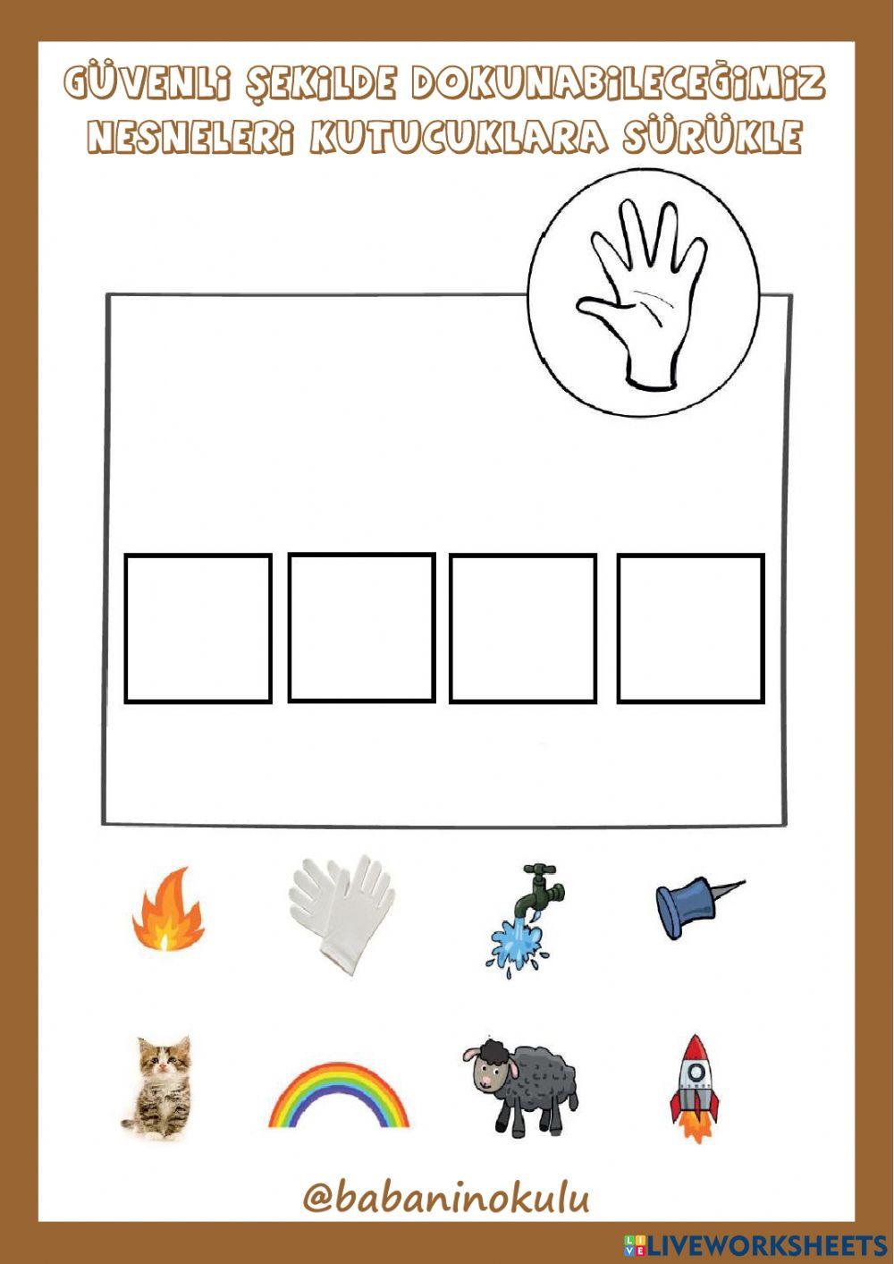 5 DUYU ORGANI: DERİ