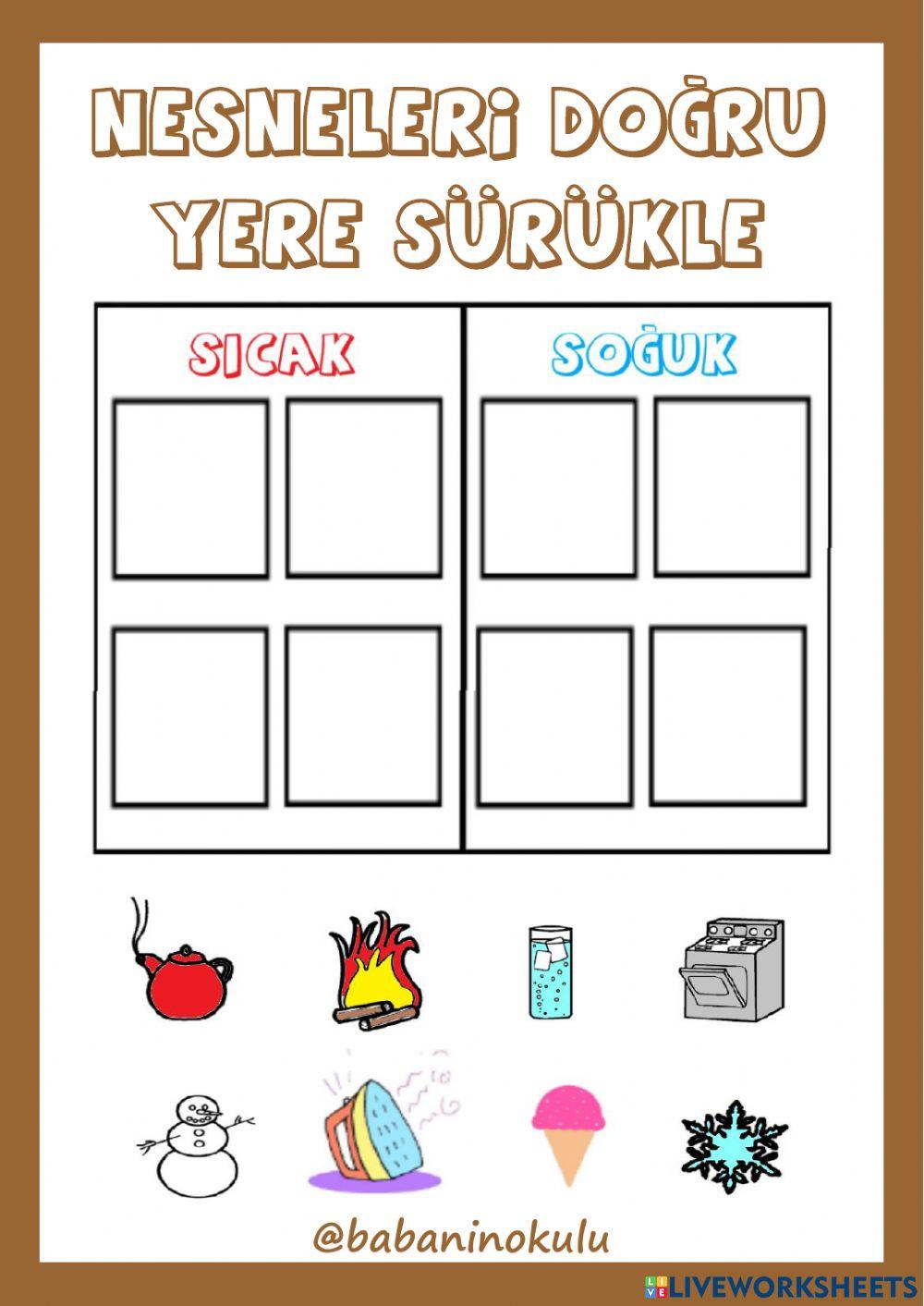 5 DUYU ORGANI: DERİ