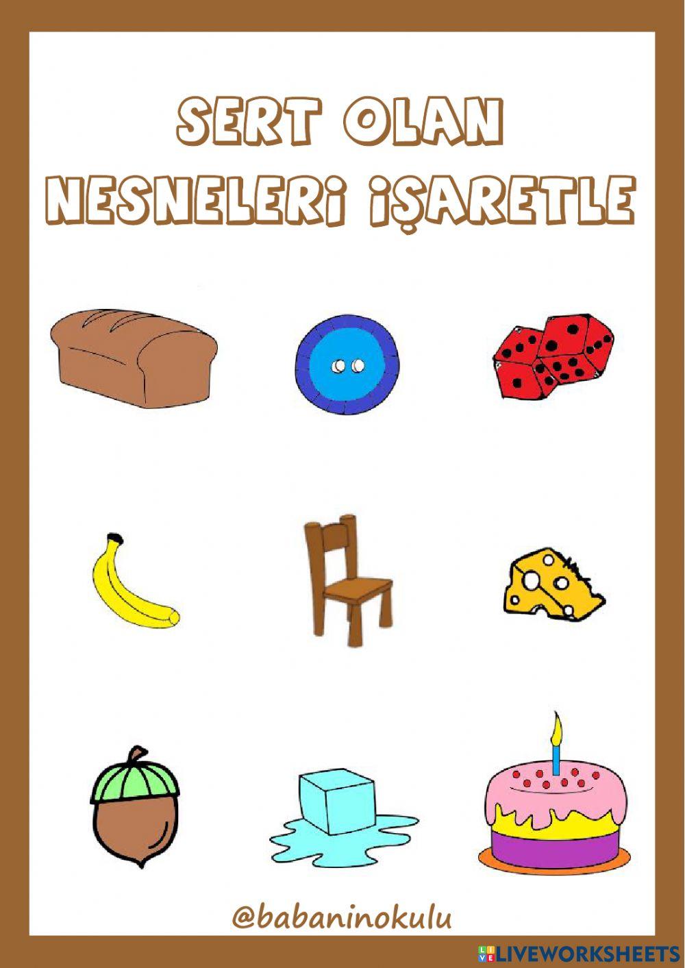 5 DUYU ORGANI: DERİ