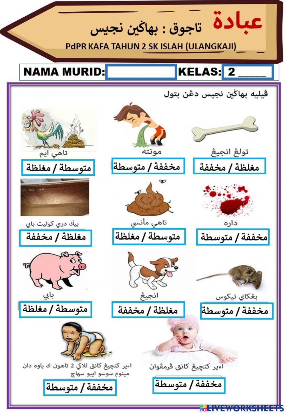 بهاݢين نجيس