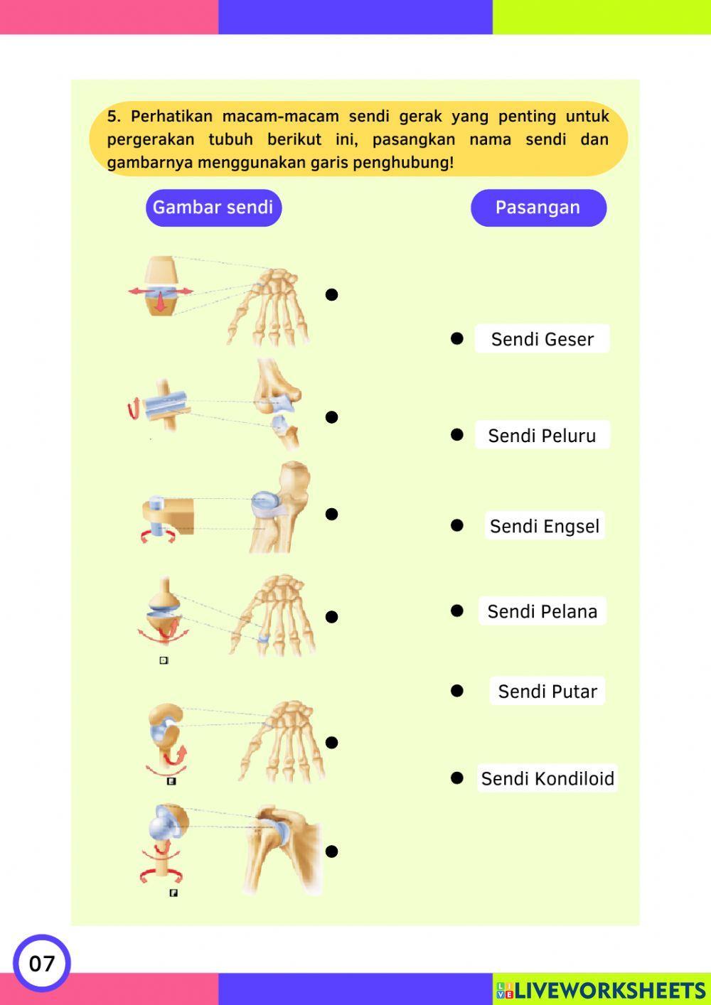 Lembar Kerja Siswa (LKS) Sistem Gerak Manusia Kegiatan 1