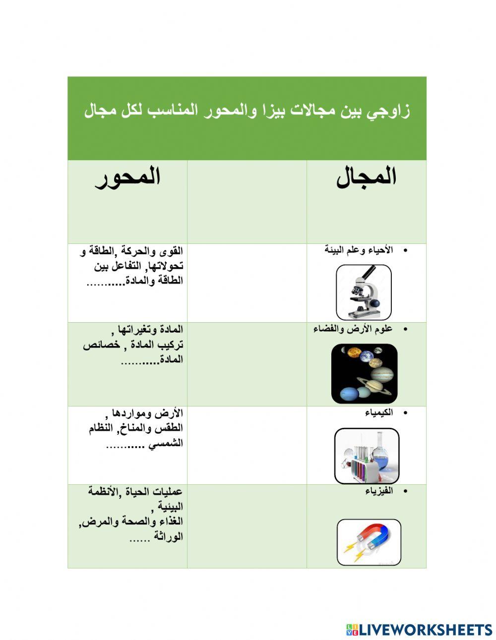 ورقة عمل بيزا