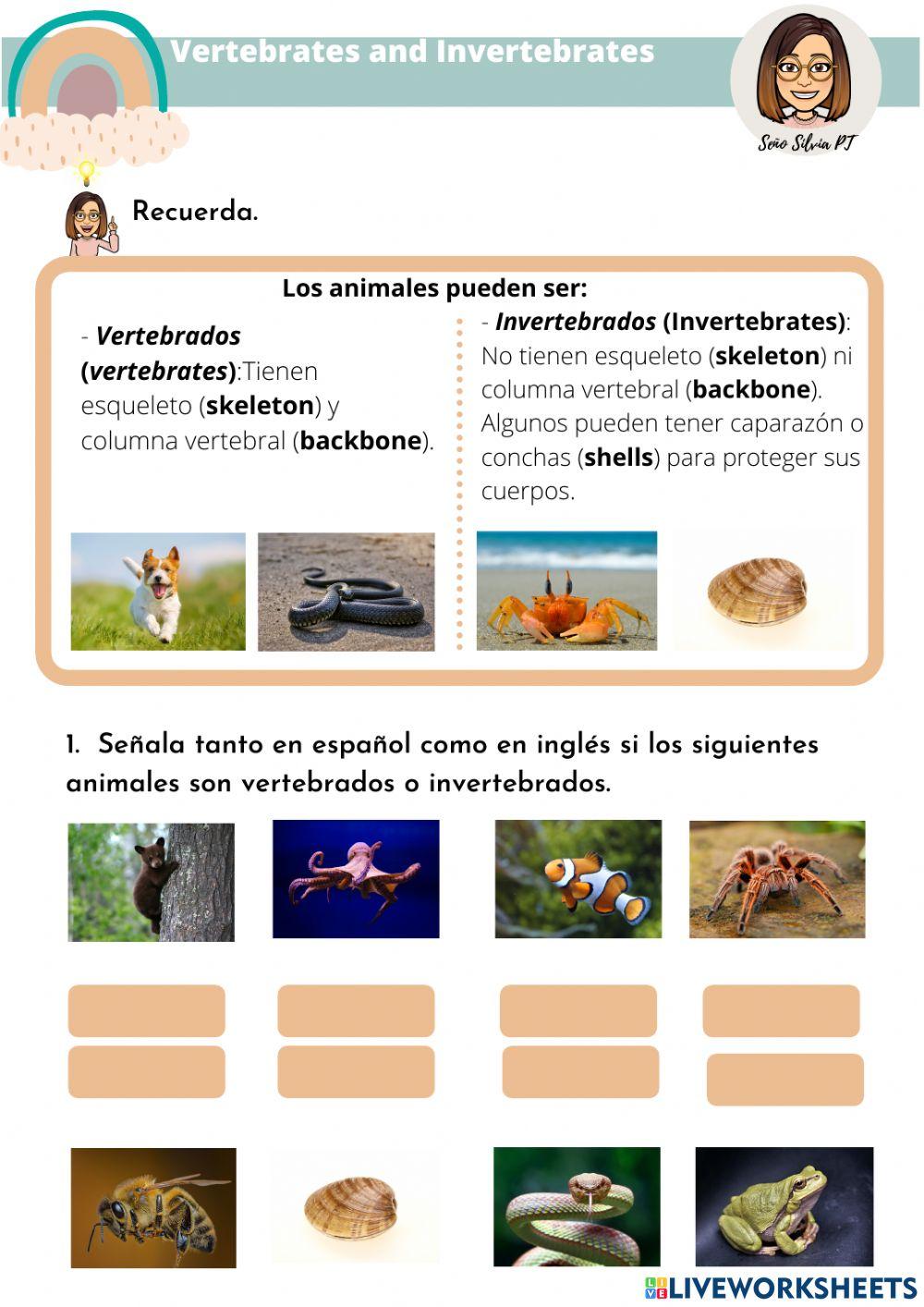 Vertebrates and invertebrates