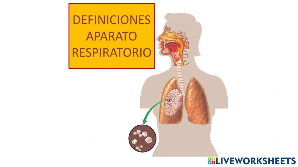 Definiciones aparato respiratorio