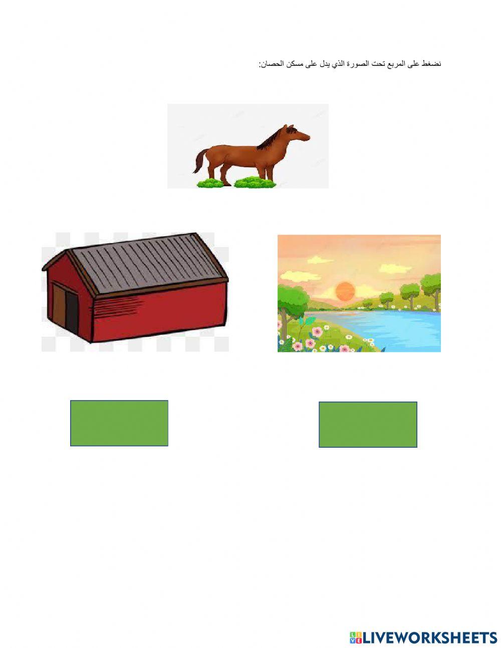 حيوانات المزرعة