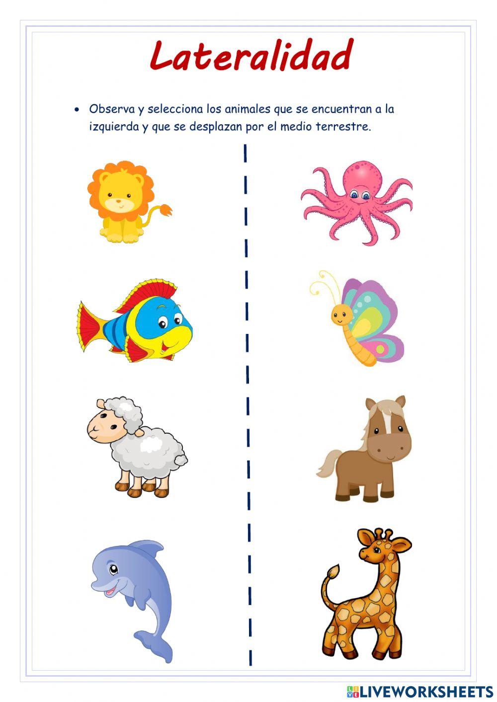 Animales Terrestres