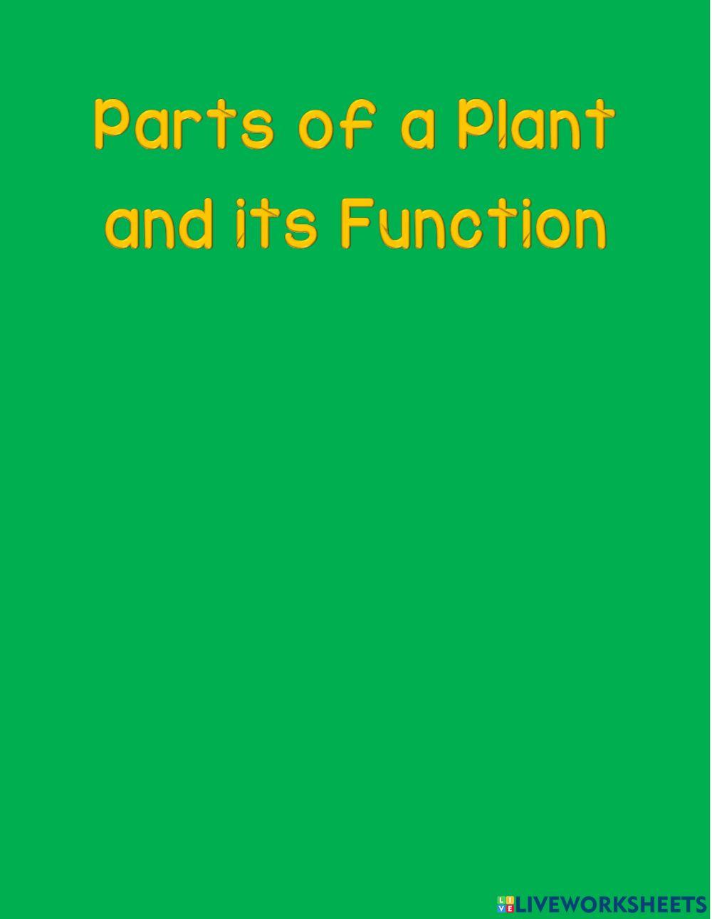 Parts of a plant and its functions