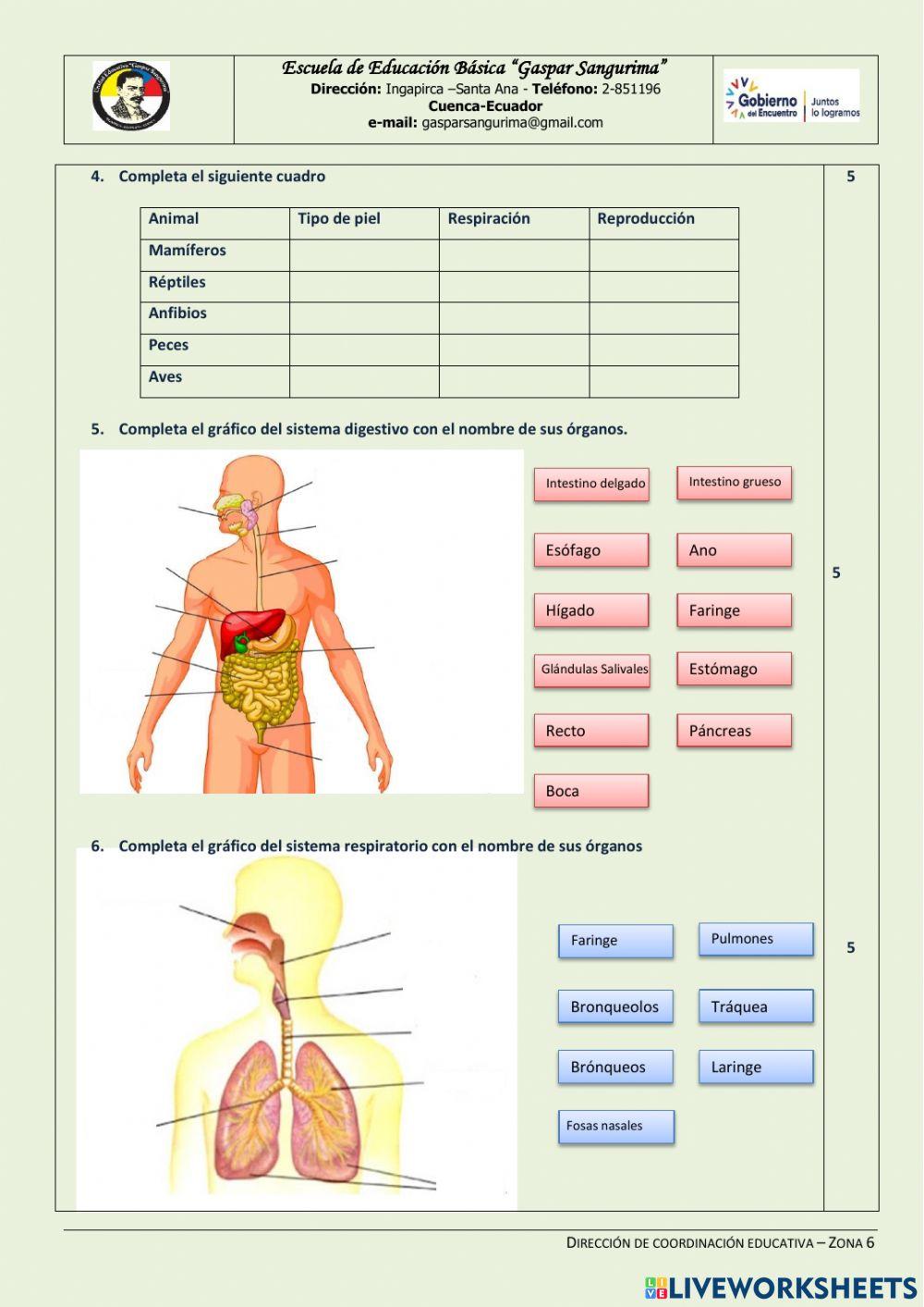 Examen Quimestral