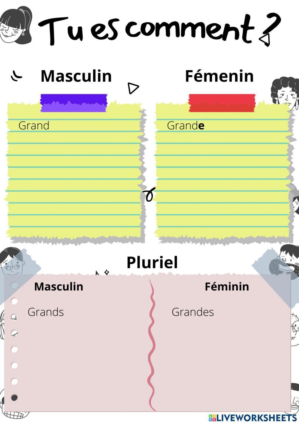 Adjectifs qualificatifs