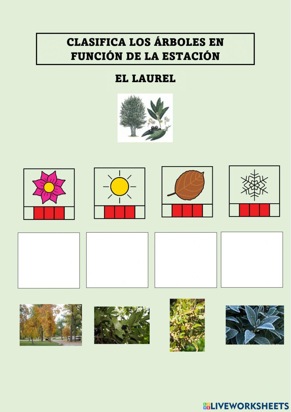 Los árboles y la primavera