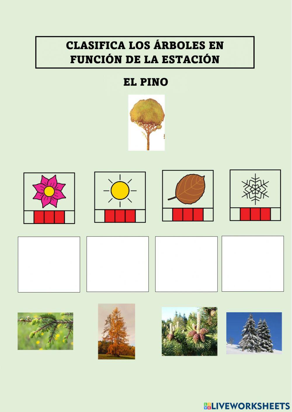 Los árboles y la primavera