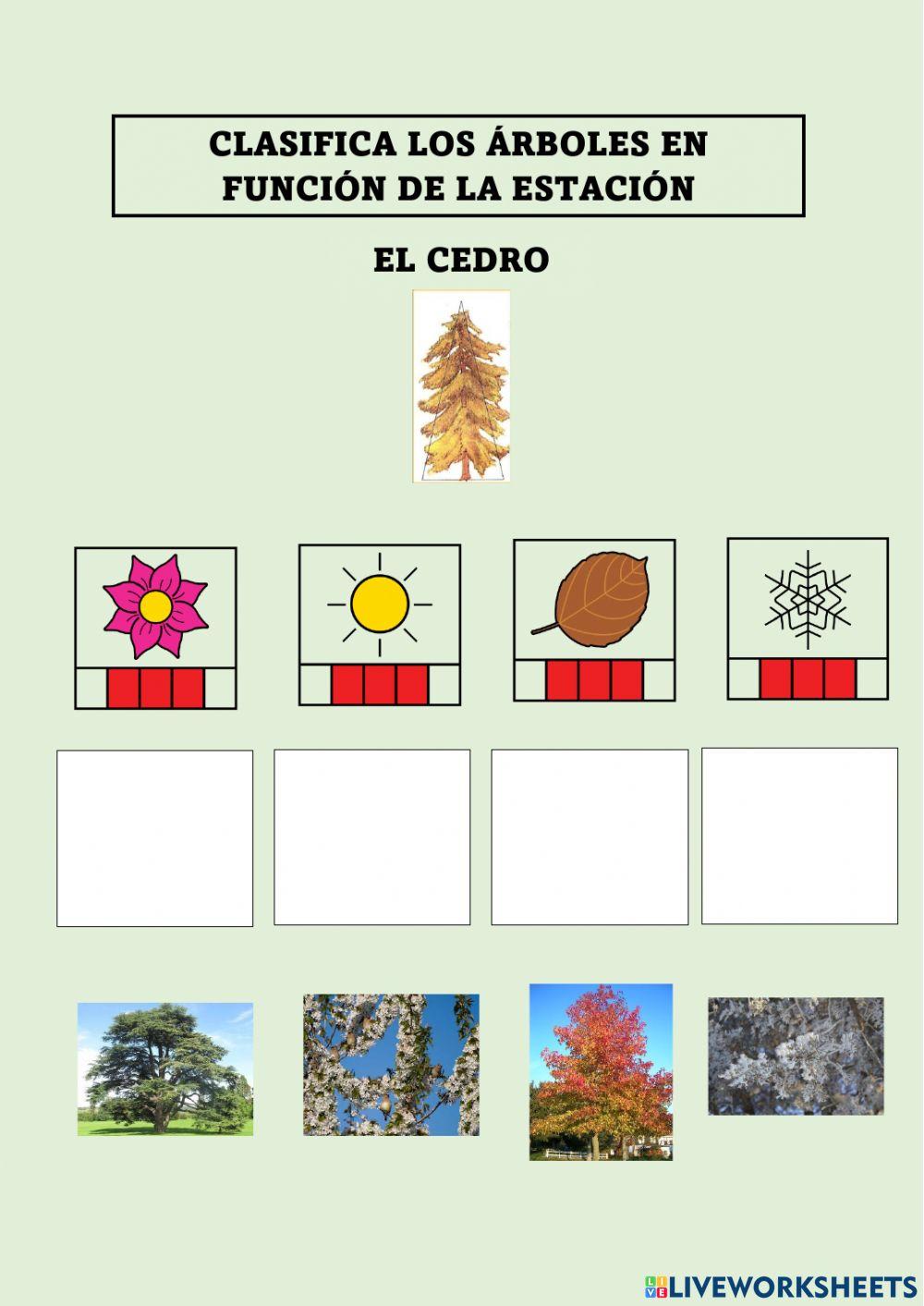 Los árboles y la primavera