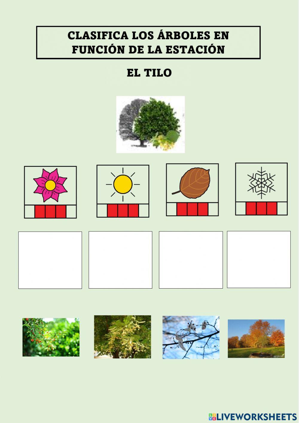 Los árboles y la primavera