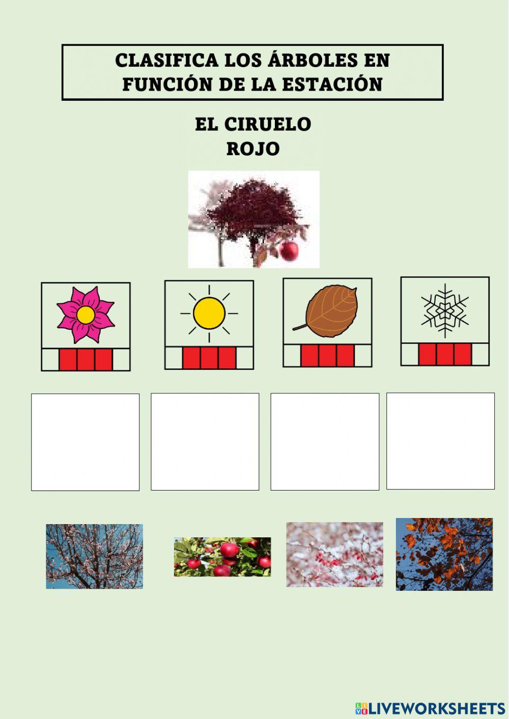 Los árboles y la primavera