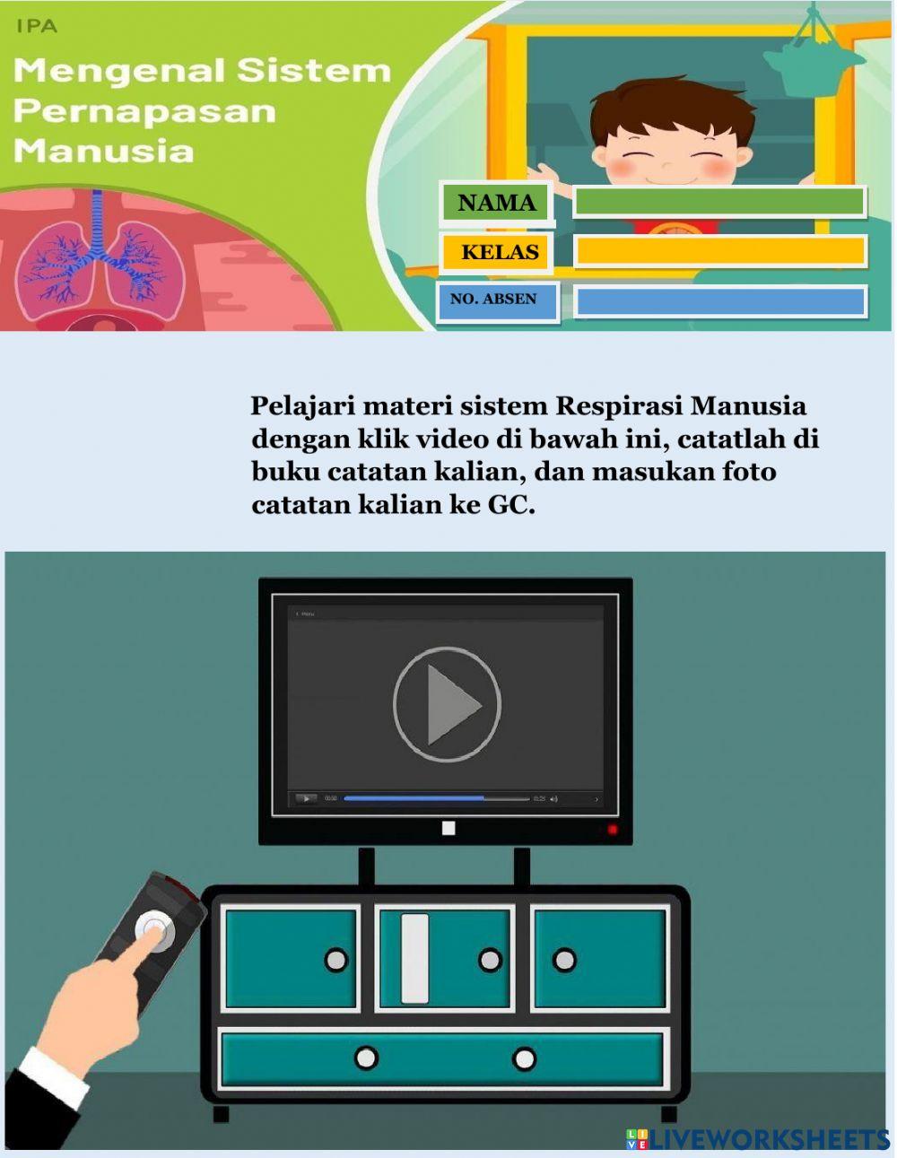 Sistem pernapasan manusia