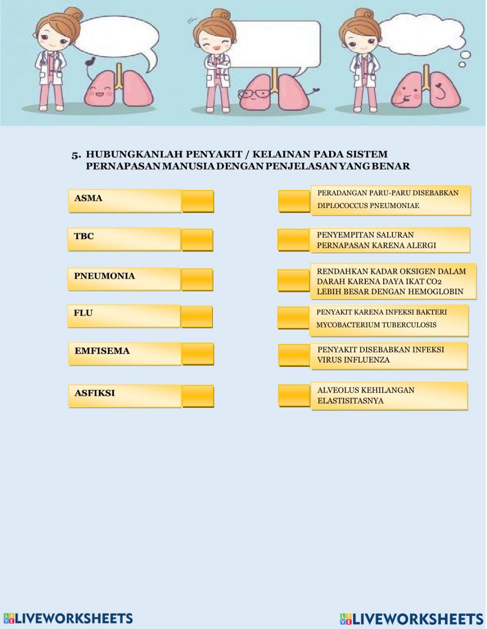 Sistem pernapasan manusia