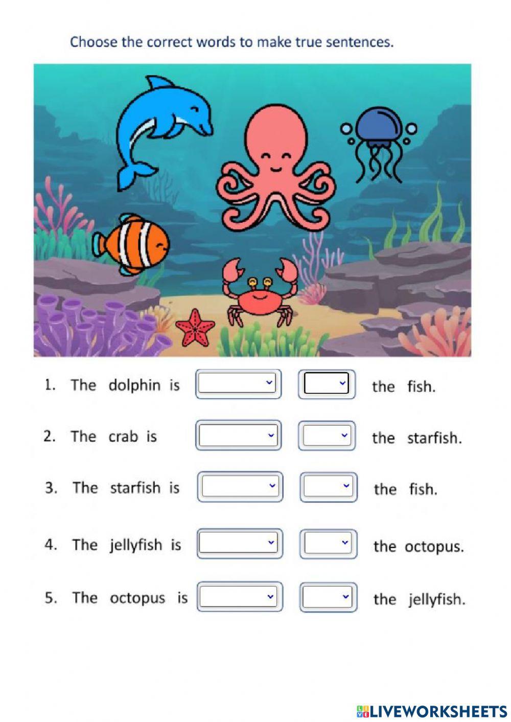 Comparatives Jan 31st