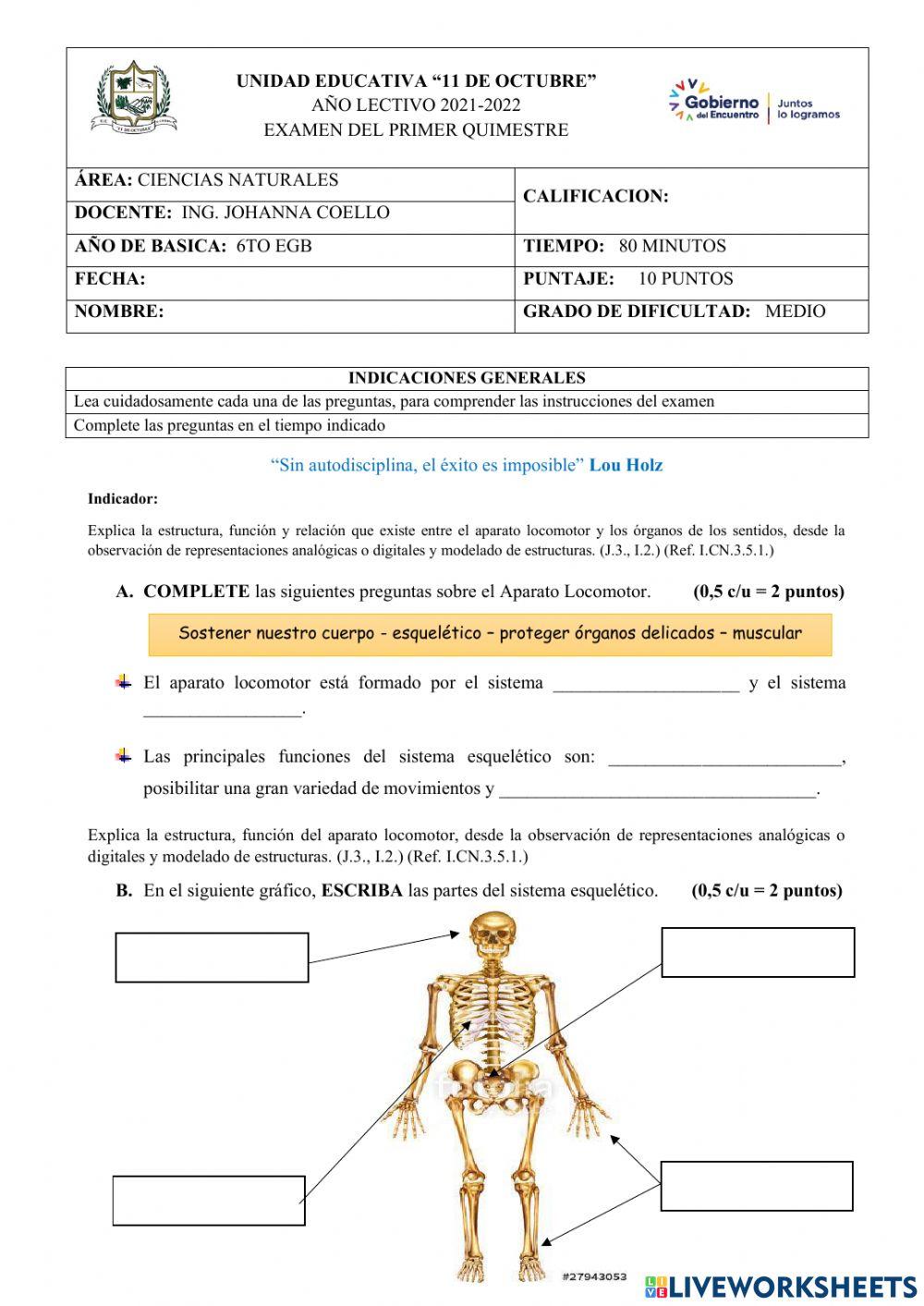 Evaluación 1er Quimestres CCNN