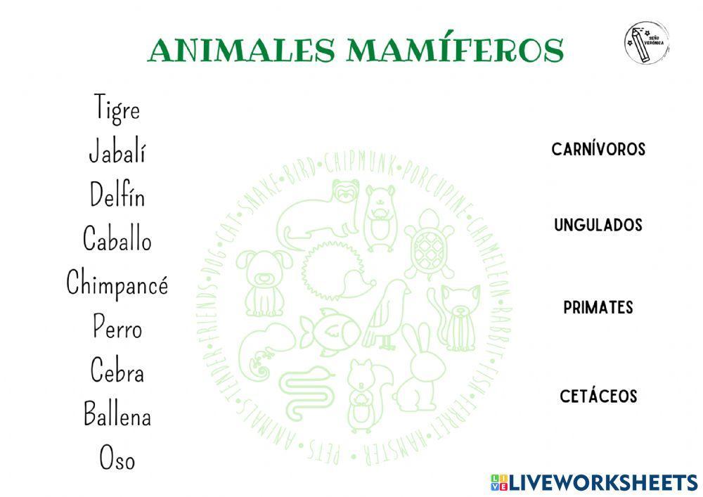 Tipos de animales mamíferos