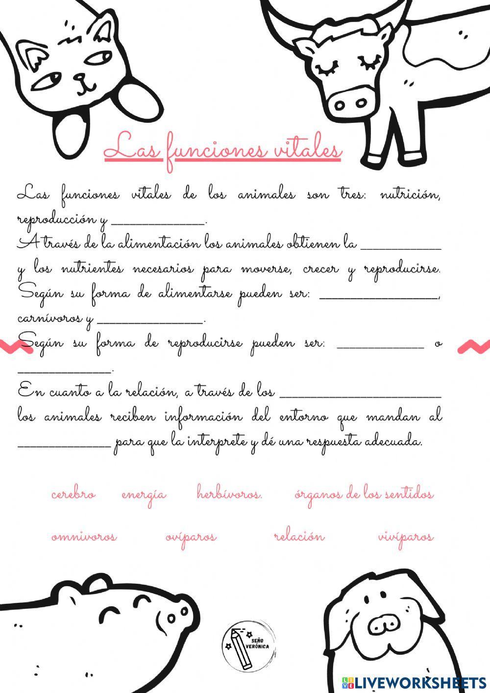 Las funciones vitales de los animales