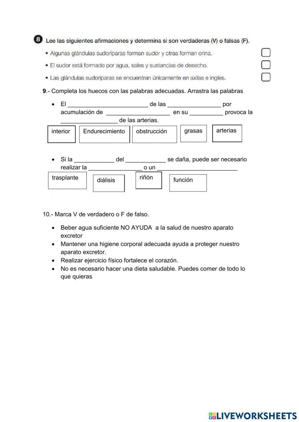 Control tema 5 naturales. el aparato circulatarioy excretor
