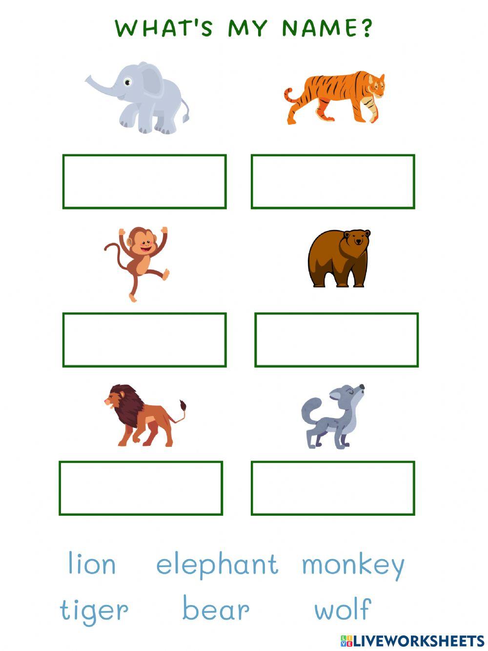 Wild Animals- drag and drop name