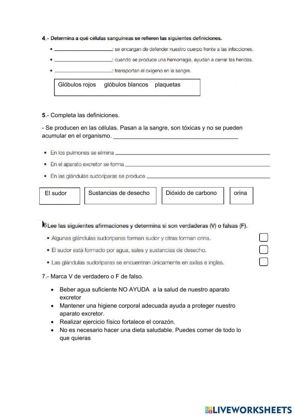 Repaso del aparato excretor y circulatorio