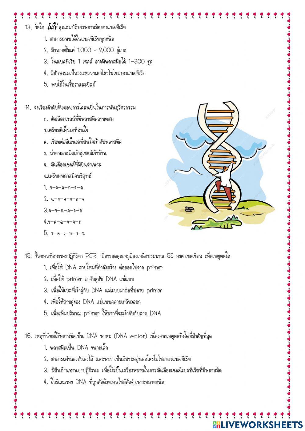 สอบเก็บคะแนน
