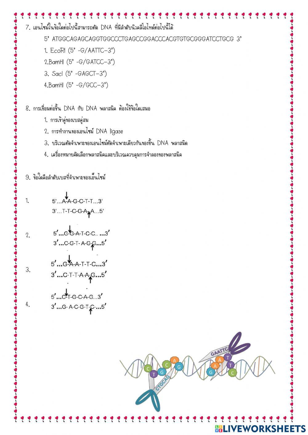 สอบเก็บคะแนน ม.4 เทคโนโลยีดีเอ็นเอ