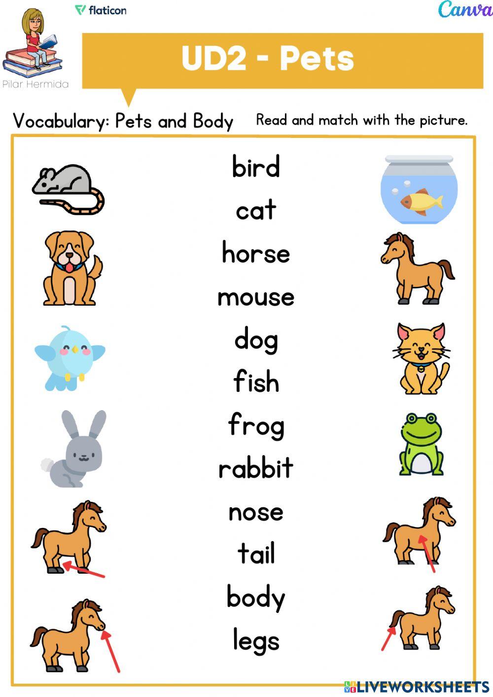 1EP UD2 Pets p1 Rooftops