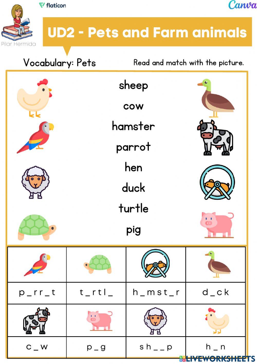 1EP UD2 Rooftops PETS p4