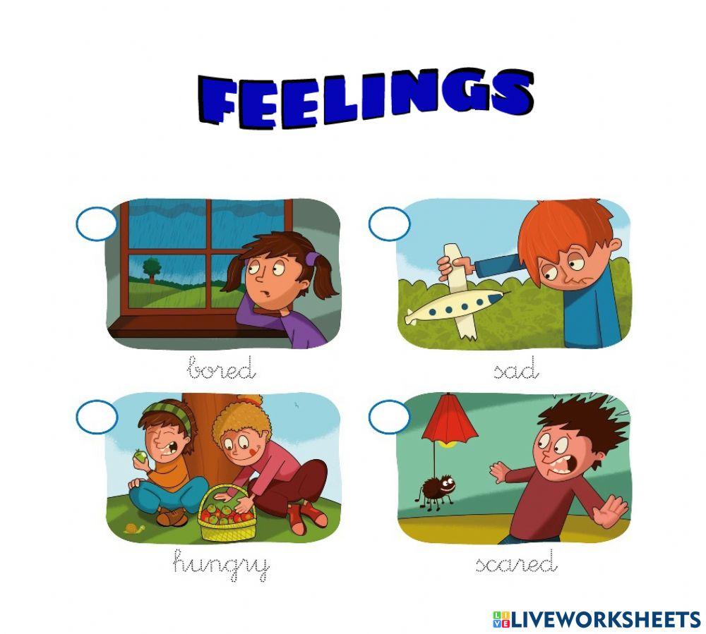 Feelings