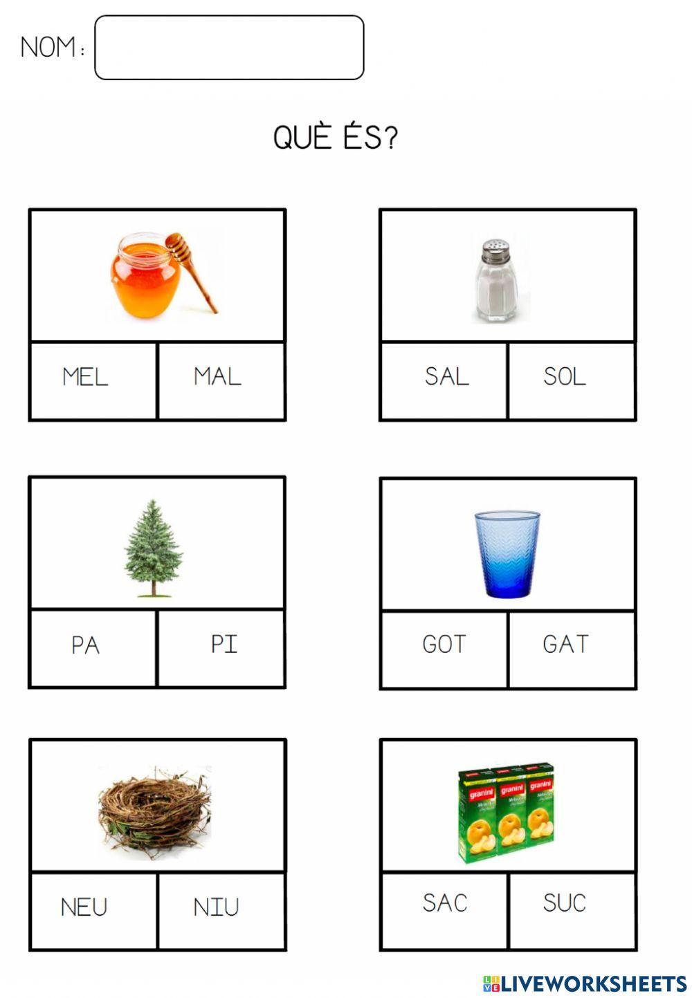 Petita lectura comprensiva