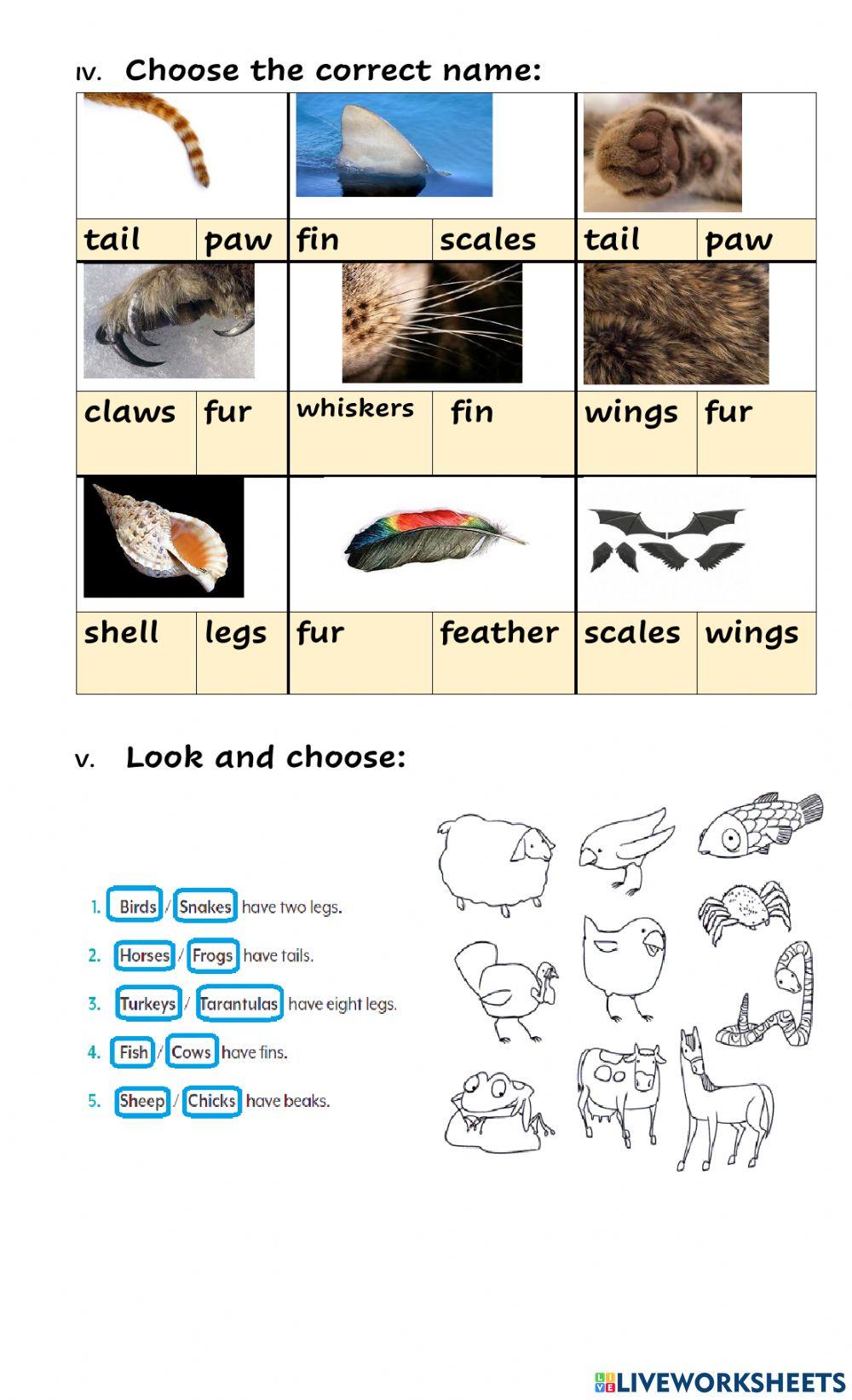 Diagnostic test