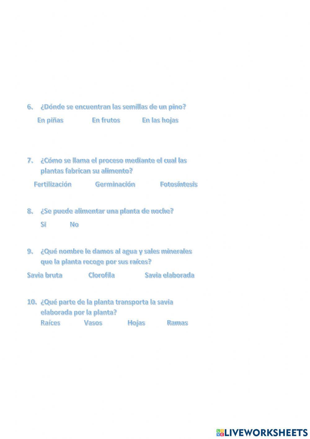 Test 4º Plantas