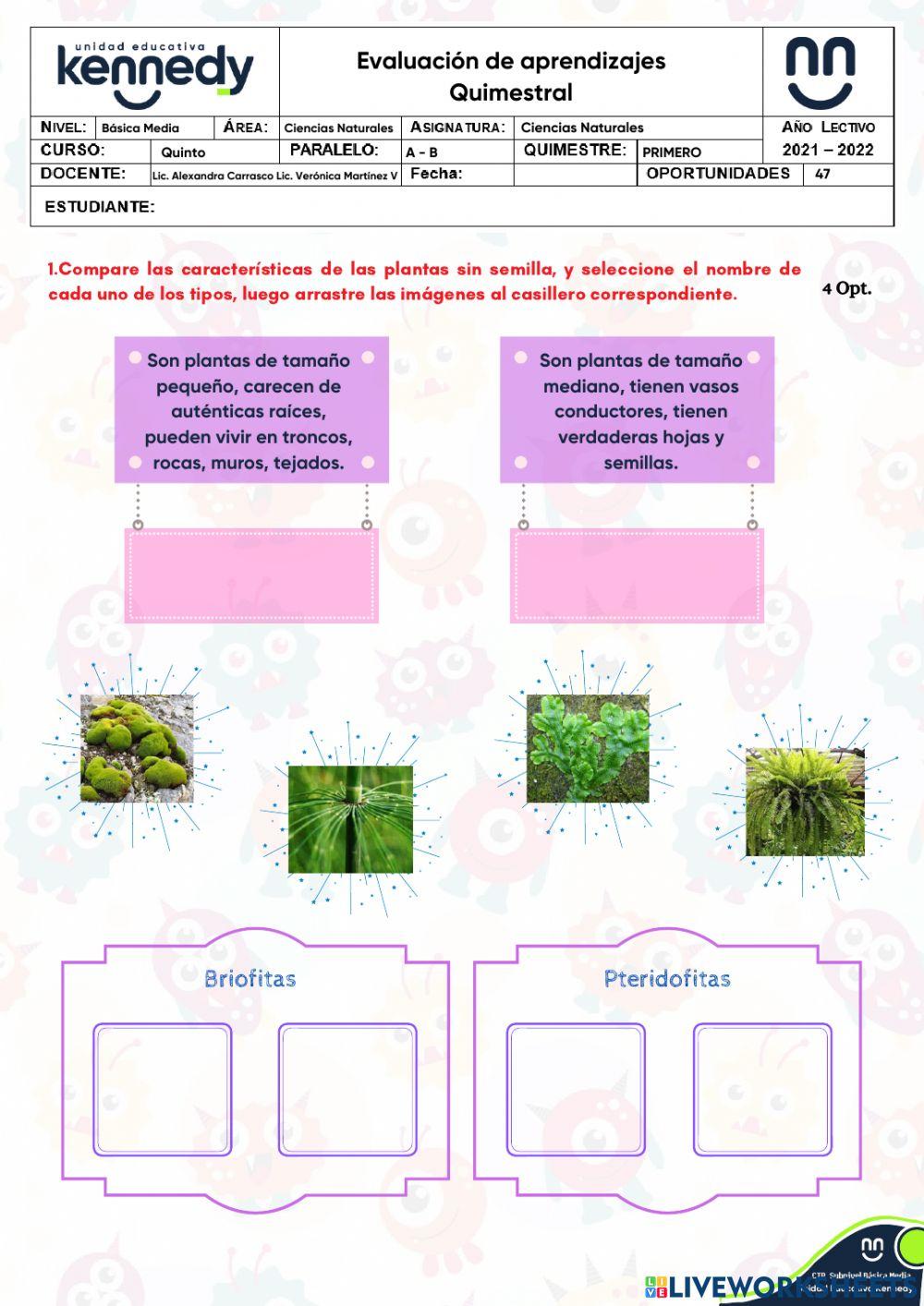 UE Kennedy - Evaluación 1Q Ciencias Naturales
