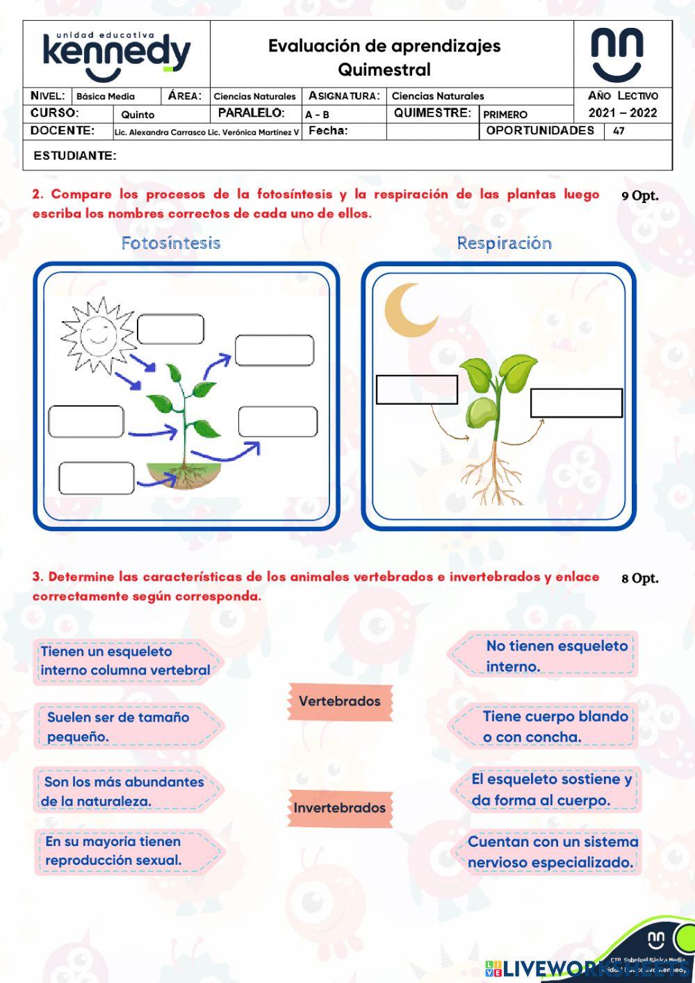 UE Kennedy - Evaluación 1Q Ciencias Naturales