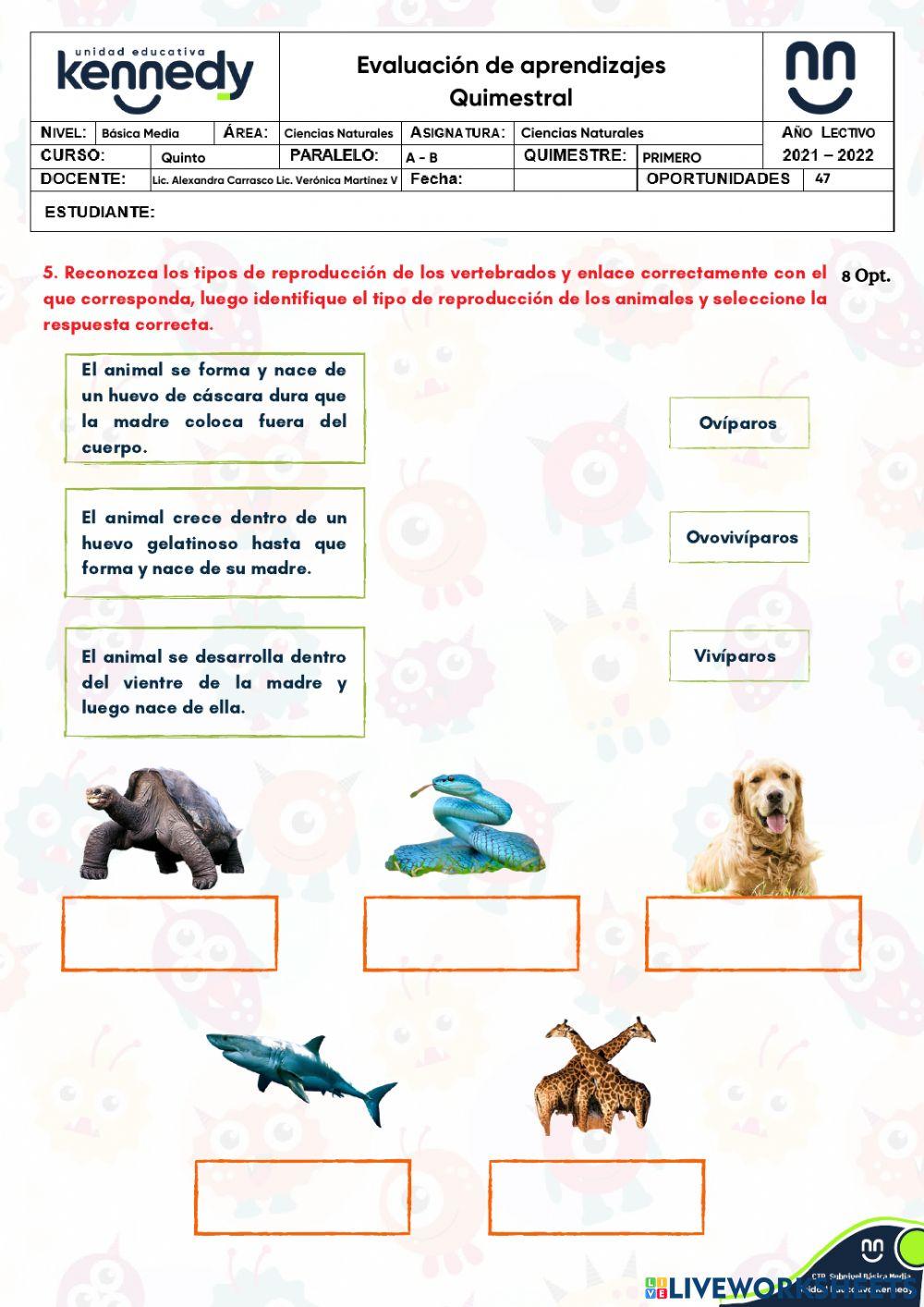 UE Kennedy - Evaluación 1Q Ciencias Naturales